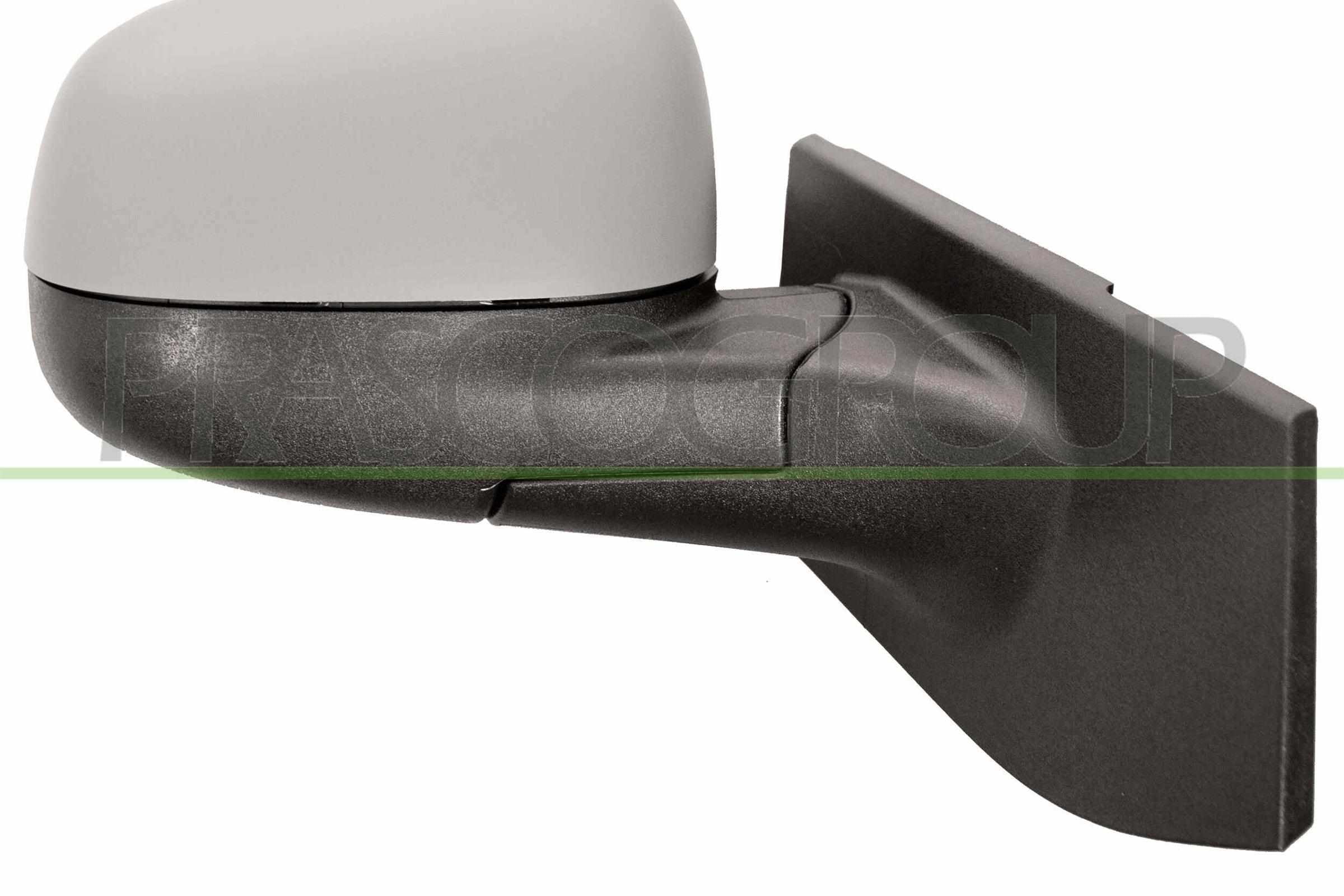 Exterior Mirror PRASCO DW3407313