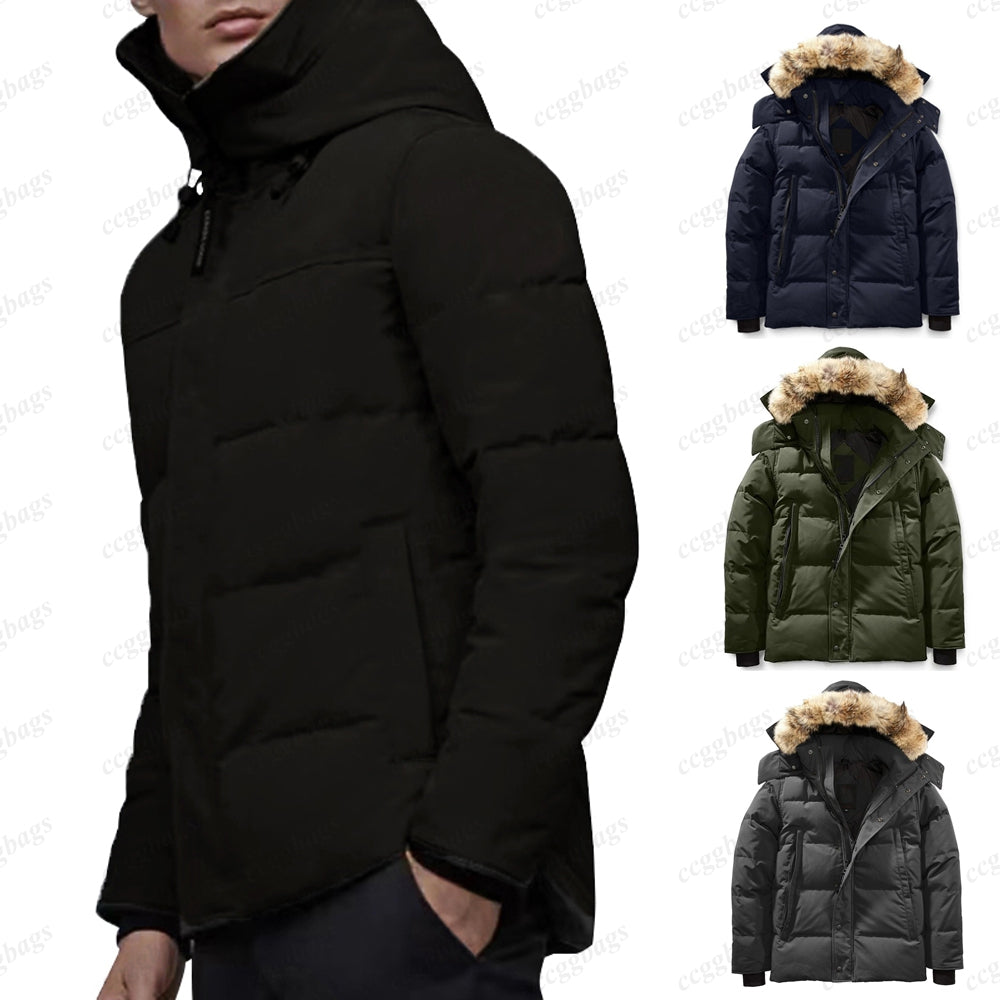 Mens puffer jacket designer puffer winter down jackets men Wyndham outdoor fur hooded parka pilot homme outerwear coats
