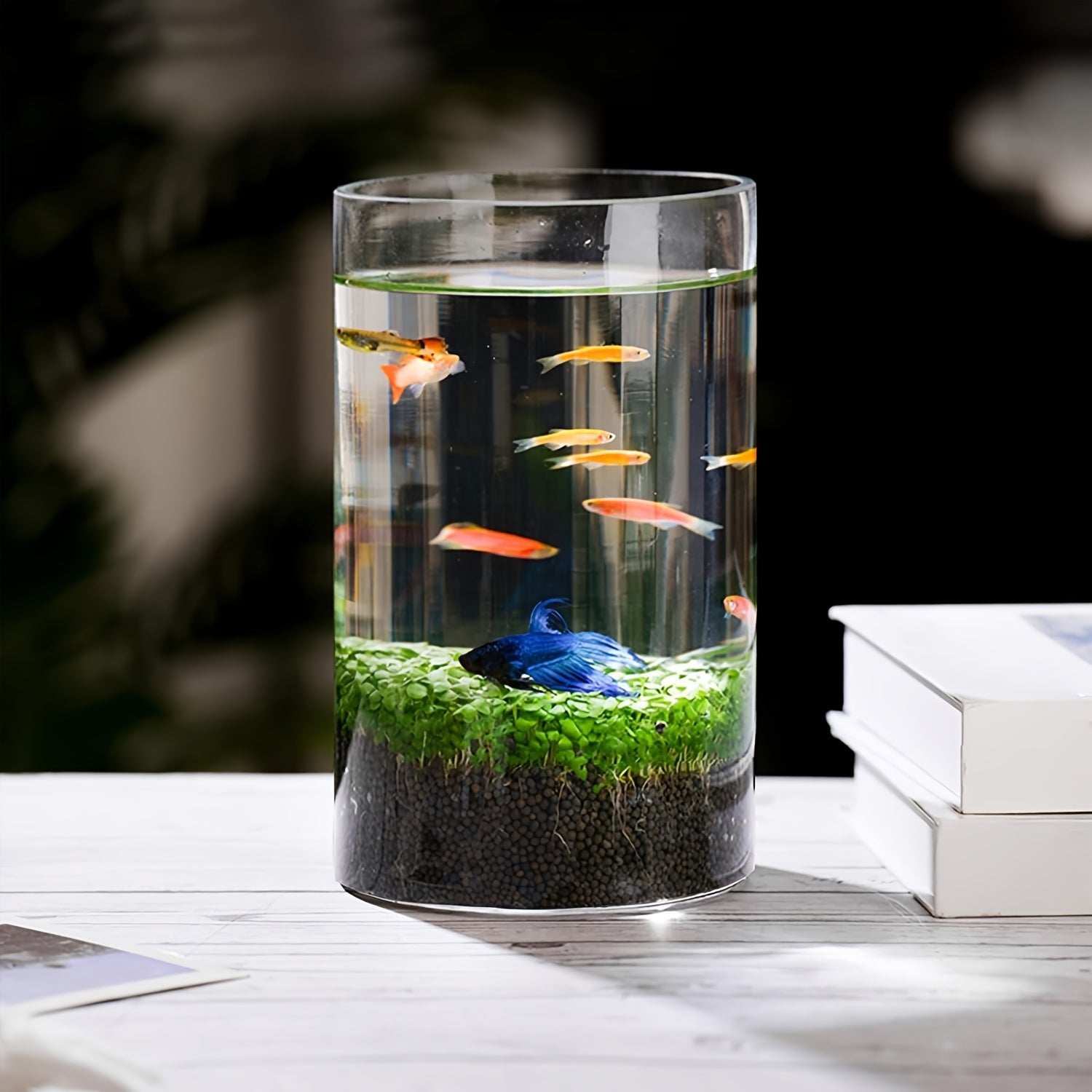 TEMU Whonline 12pcs 6 Inch Glass Cylinder Vases For Centerpieces, Flower Vases For Wedding And Christmas Decorations, Tall Glass Hurricane Candle