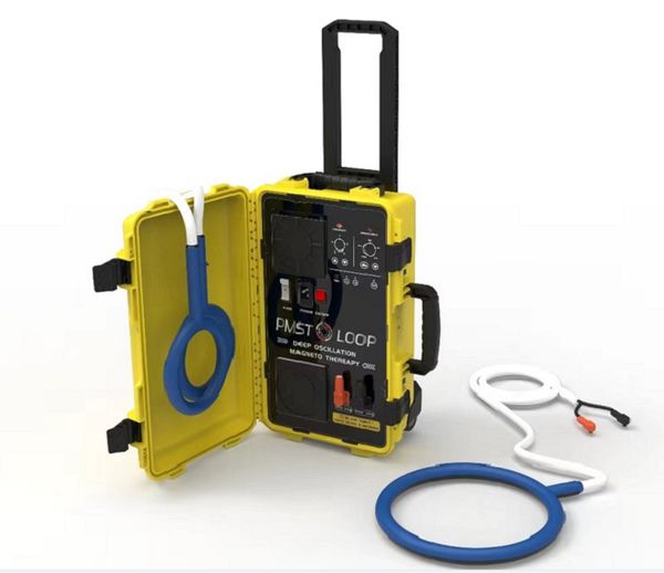 6000 Gauss PMST LOOP Magneto Therapy High Power Human Health Care Physiotherapy Machine For Pain Relief Bones Repair Physio Magneto PEMF Mac