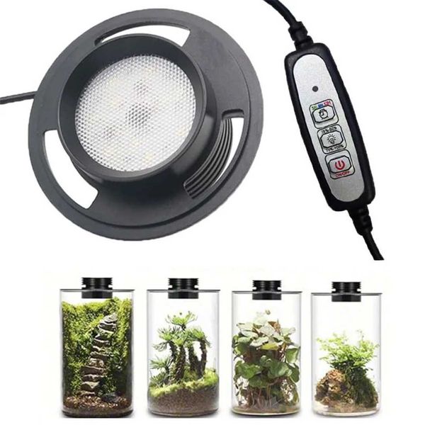Adjustable USB Terrarium Plant Growth Light with Timer for Vase Indoor Plant Growth Juicy Miniature Horticultural Landscape X250205
