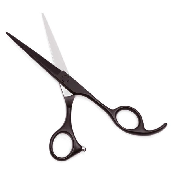 Hair Scissors 5.5 6 Japan Stainless Hair Cutting Scissors Thinning Shears Professional Hairdressing Scissors Haircut SetM240801