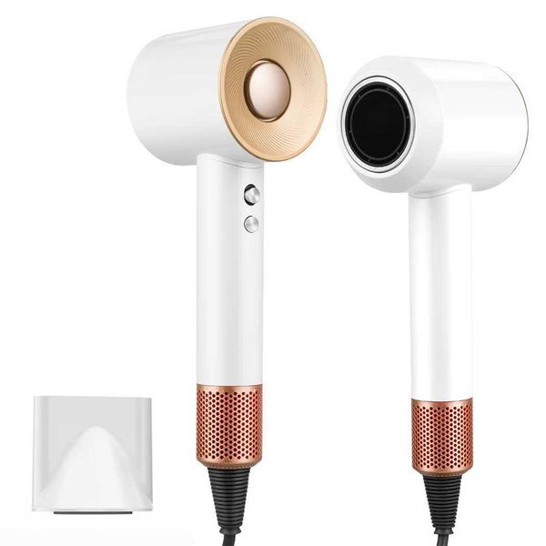 1600W Hair Dryer Professional Brushless High Speed Powerful Blow Dryer Electric Negative Ion Adjustable Salon Household Dryer Y240807 Y24080