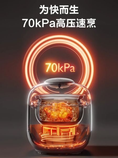 Electric pressure cooker household small mini 2 persons 3 multifunctional rice double bile official