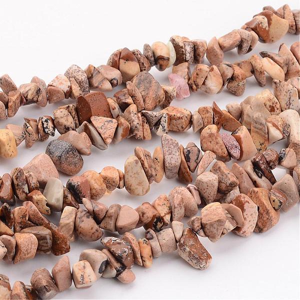Natural Picture Jasper Chips Beads Strands