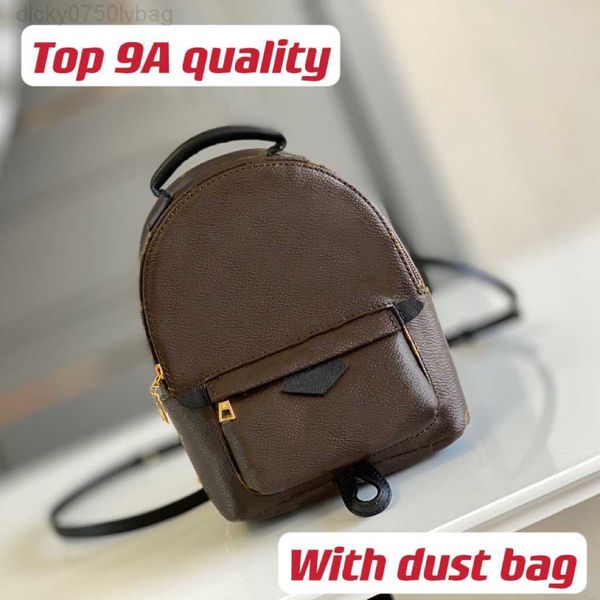 louissvuttion bag lvt bag Palm Springs Mini Backpack Lady Designer Bags 2 Colors BrownReverse In Goldcolor hardware Soft cowhide trim with f