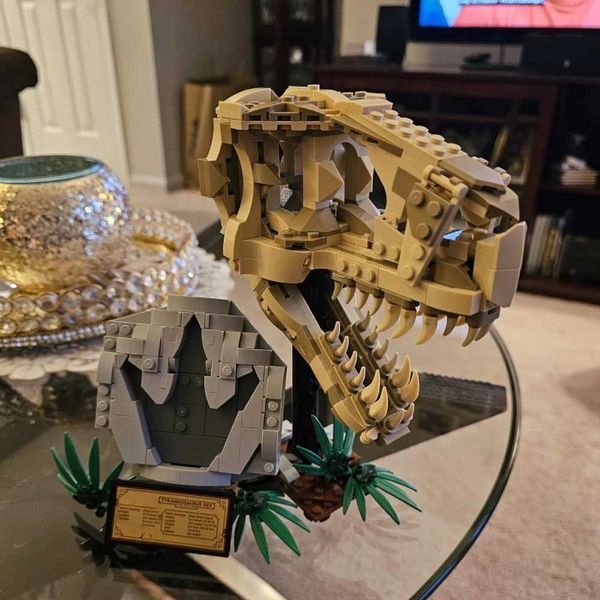 Blocks Blocks Dinosaur fossil T. rex skull model building block kit Halloween and Christmas gifts childrens toys compatible with H241107 Y24
