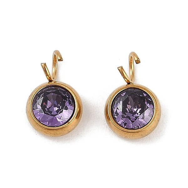 Breloques en acier inoxydable 304 avec placage ionique (IP) et micro-pavé de zircones cubiques