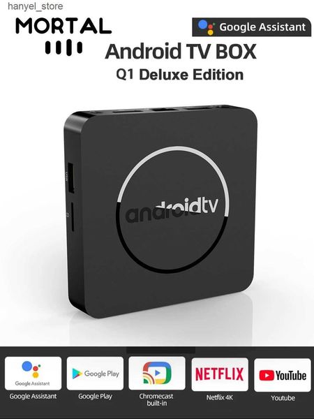 Set Top Box Android13 TV Box Netflix 4K Allwinner H313 YouTube Vision HDR10 Support 2G16G Dual Wifi Google Streaming Media Player Device Q1