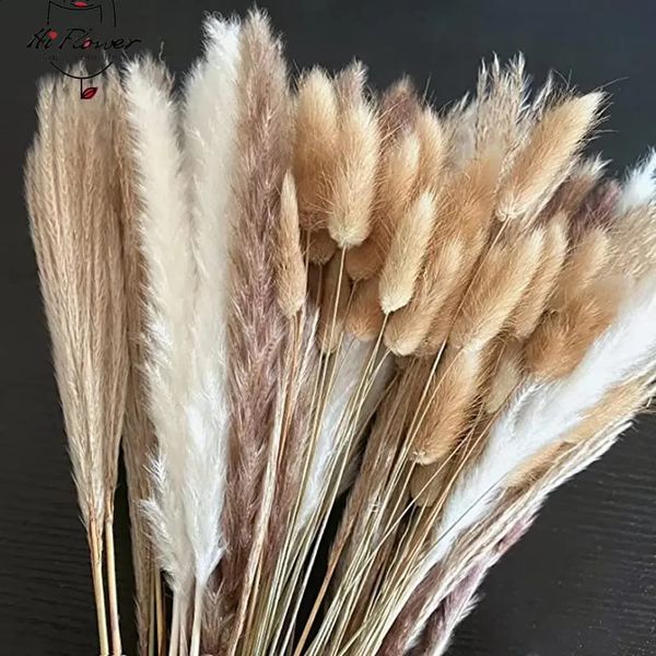 100 fluffy Pampas dried flower bouquets for home decoration natural rabbit tail scarecrow flower making wedding party decoration 241204