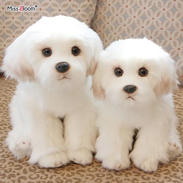 Maltese Stuffed Dog Dolls Plush Toy Cute Simulation Pets Fluffy Baby Birthday Gifts Christmas Children Malzis Puppy Drop 250114