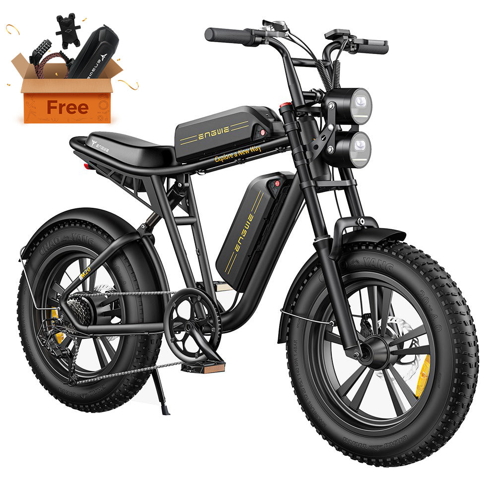 ENGWE M20 13Ah Dual Battery 20 Inch E-Bike 750W 45Km-h Speed Black