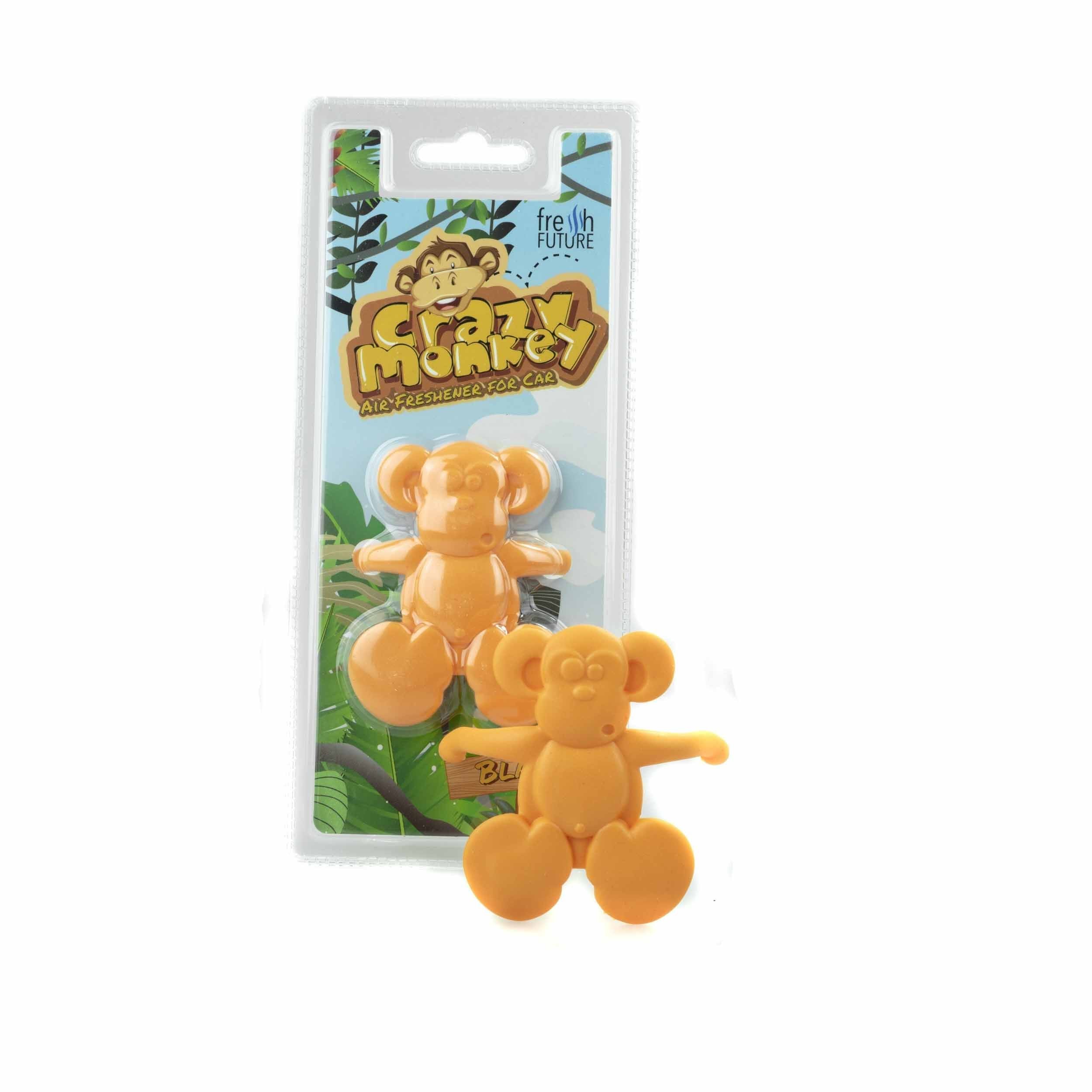 Air Freshener EINPARTS EPCF30