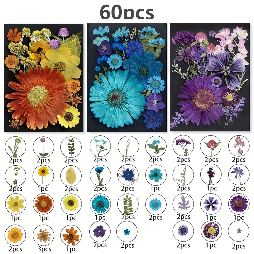 TEMU 60pcs Dried Pressed Flowers For Resin, Real Pressed Flowers Dry Leaves Bulk Natural Herbs Kit For Scrapbooking Diy Art Crafts, Epoxy Resin