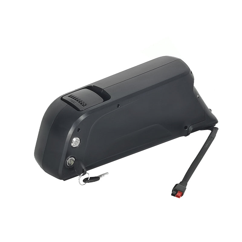 CNEBIKES down tube 36v 15.6ah 18Ah 19.2Ah ebike battery electric bike battery 48v 10.4Ah 12Ah 12.8Ah 14Ah 52V with charge