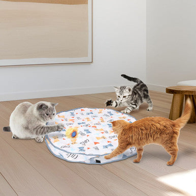 Motion-Activated Interactive Cat Toy