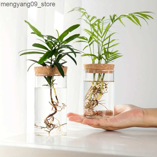 Vases 1pc Hydroponics Plants Desktop Glass Planter Vase For Home Decoration Plant Propagation Station Bud Vase Desktop Hydroponics J241210