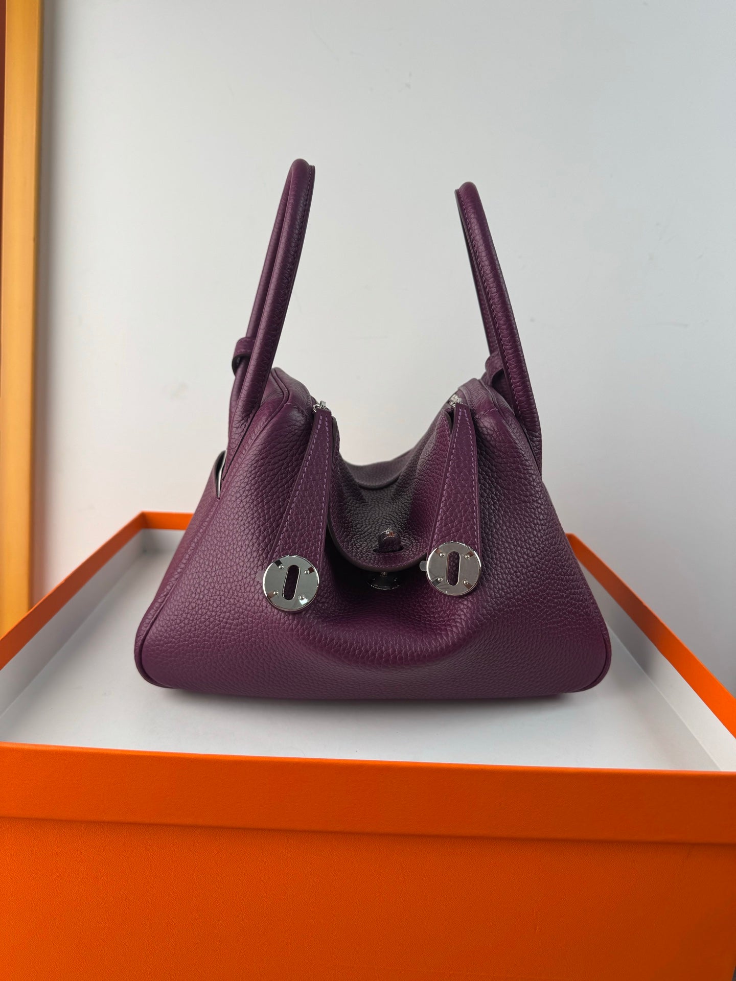 Luxury Handcrafted Women&#039;s Handbag-AMS-LD