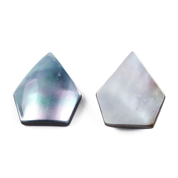 Natürliche Turbo Cornulus-Top Shell Cabochons