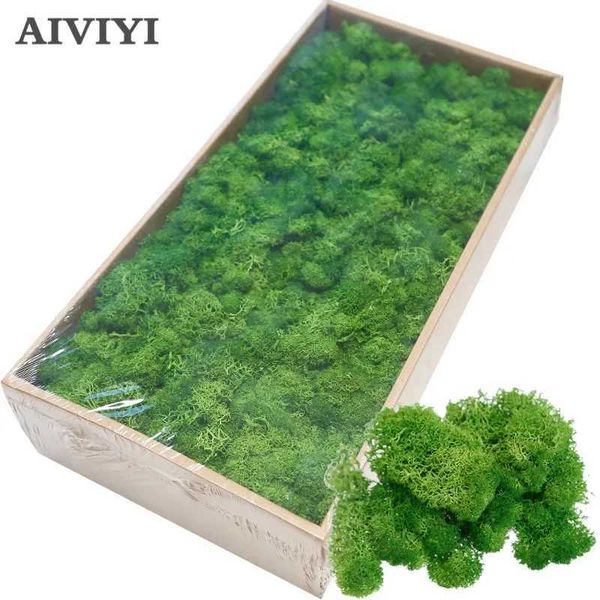 High quality artificial green plants immortal artificial flowers moss grass wall decoration mini accessories Y250114