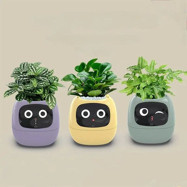 Ivy Smart Planter Endless Fun Over 49 Rich Expressions 7 Smart Sensors and AI Chips Make Plant Growth Simple and Fun 241008