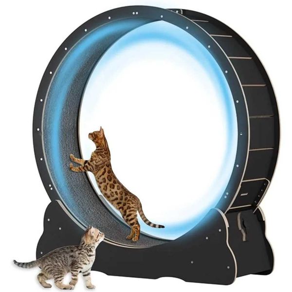 Wind-up Toys Cats pet safe cat treadmills lockable and minimal Gapdesign toys cats pets plush products fun homes S2452444