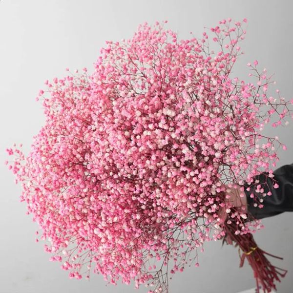 Natural fresh dried fruit protection flower Gypsophila paniculata baby breathing bouquet wedding decoration gift Valentines Day 241204