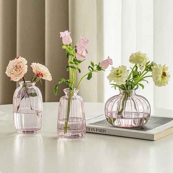 Vases Decorative Flower Bottle Nordic Glass Vase Transparent Bud Vase Designed Hydroponic Plant Pot Living Room Decor Table Ornaments z24121