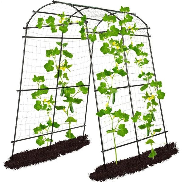 Garden arched tunnel grid used for outdoor climbing plants vines vegetables courtyard lawns garden raised beds weddings 240906