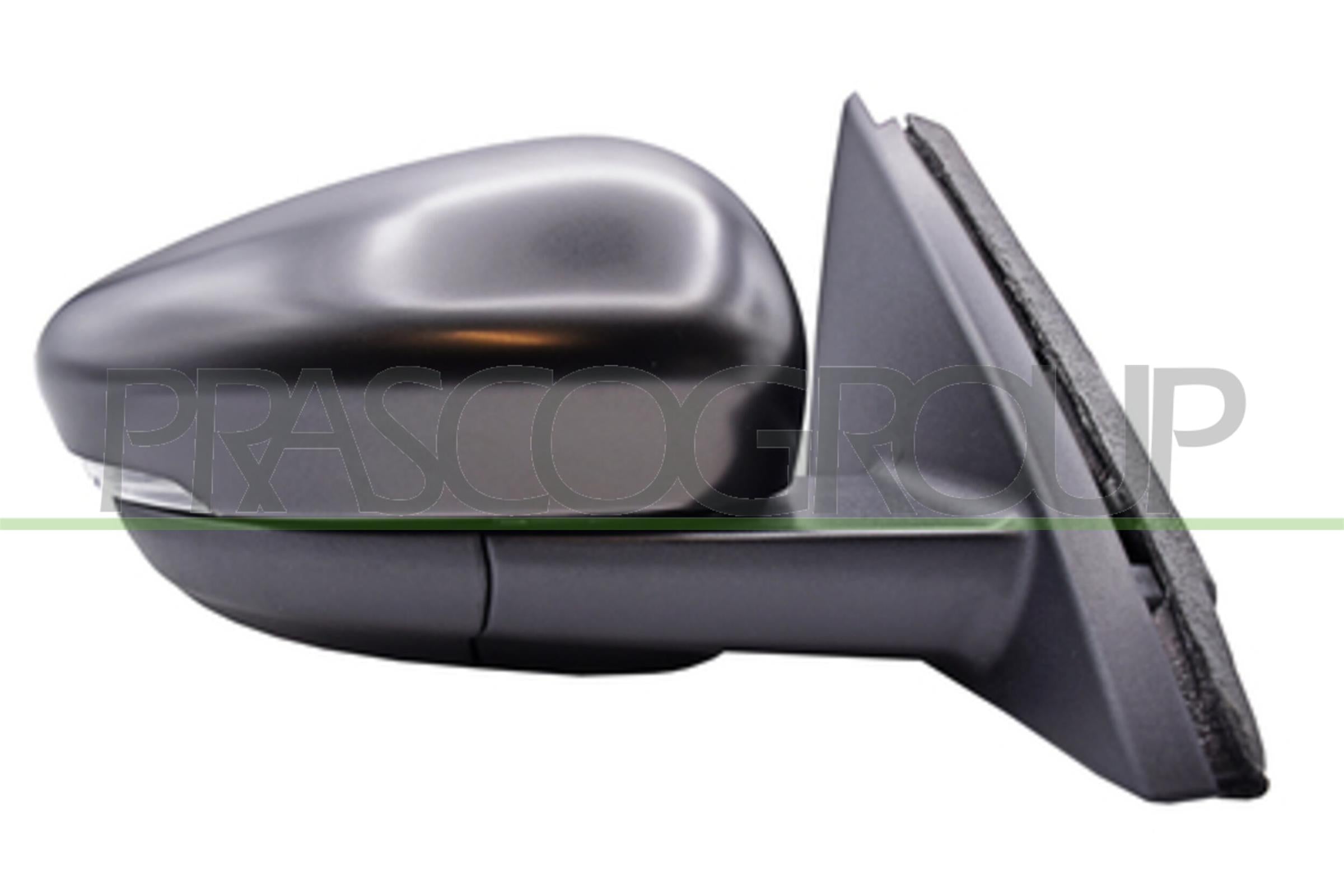 Exterior Mirror PRASCO FD8087323