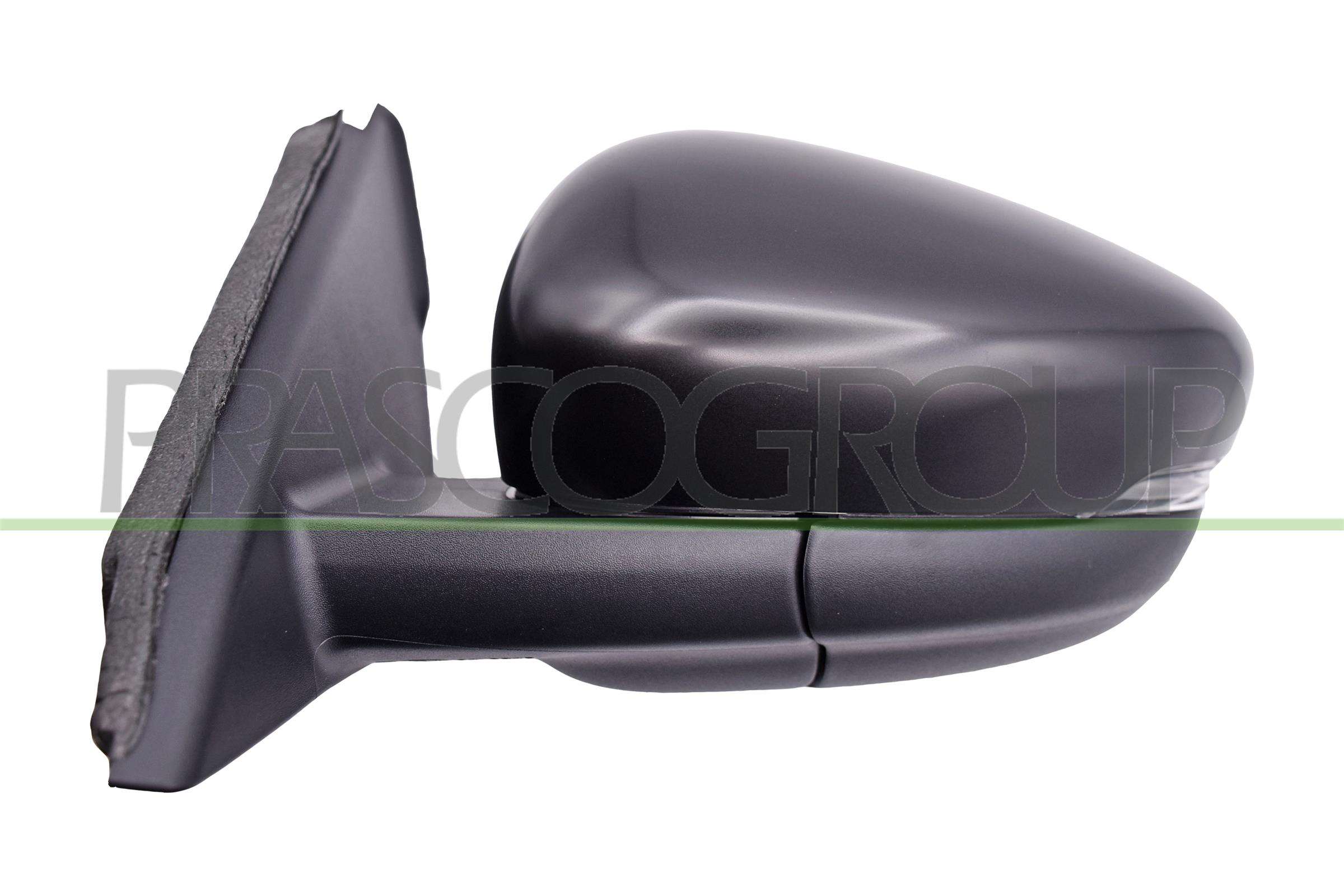 Exterior Mirror PRASCO FD8087324