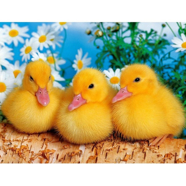 DIY 5D yellow Duck Pattern Round-Square Diamond Painting Full Drill Diamond Painting with Number Kits Home and Kitchen Fashion Crystal Rhinestone Cro