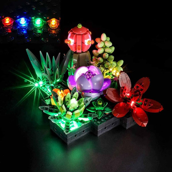 USB Light Kit for LEGO 10309 Succulents 10309 Plant Decor Brick Building Set-NOT INCLUDE LEGO MODEL
