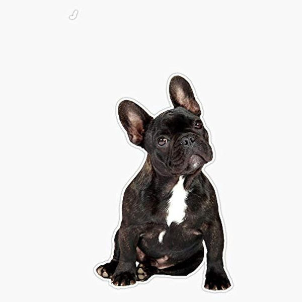 French Bulldog Vinyl Waterproof Sticker Decal Car Laptop Wall Window Bumper Sticker 5"