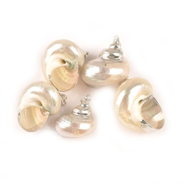 5pcs White Natural Silver Plated Spiral Shell For Handmade Conch Seashells DIY Charms Pendant Jewelry Decor Crafts TRS0332