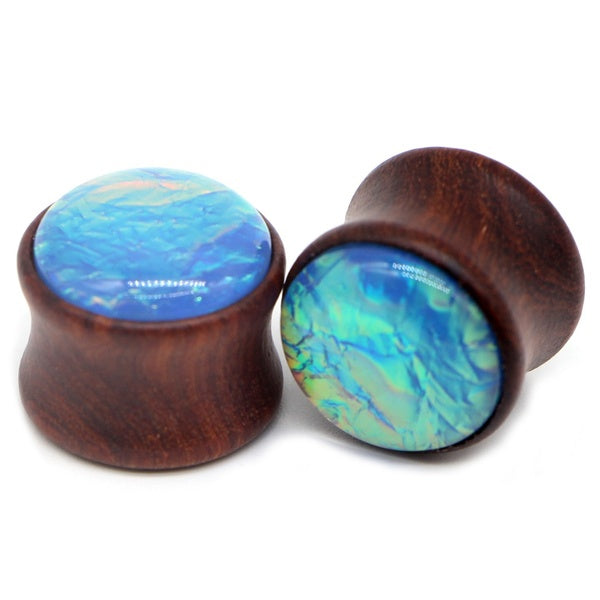 Alisouy 1 paire bois bouchons d'expansion d'oreille jauges boucles d'oreilles femmes hommes chair Tunnel extenseur Piercing civière corps Piercing bi