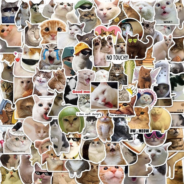 10-50-100Pcs Wow Celebrity cat Meme Sticker Funny Cute Pet cat Meme Graffiti Stickers for DIY Luggage Laptop Skateboard Motorcycle Bicycle Stickers