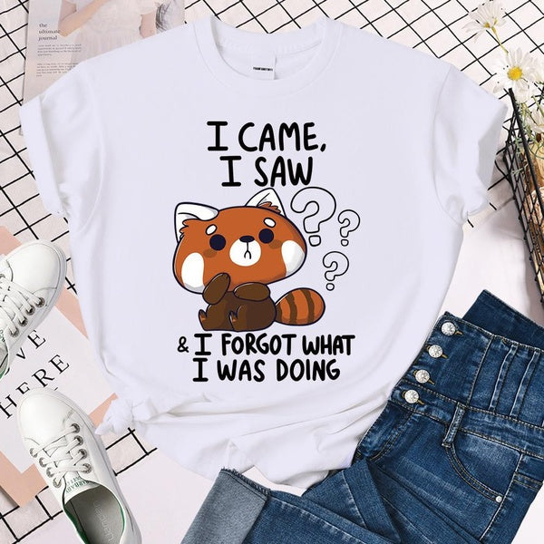Cute Raccoon I Came I Saw T-shirts For Women Summer Tee Shirt Femme Casual Short Sleeve Round Neck Tops T-shirts