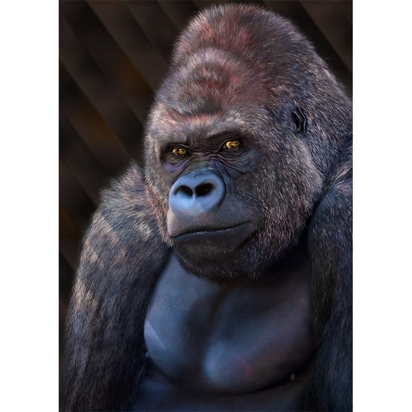 DIY 5D Diamond Painting Gorilla by Number Kits Painting Cross Stitch Full Drill Crystal Rhinestone Embroidery Pictures Arts Craft for Home Wall Decor