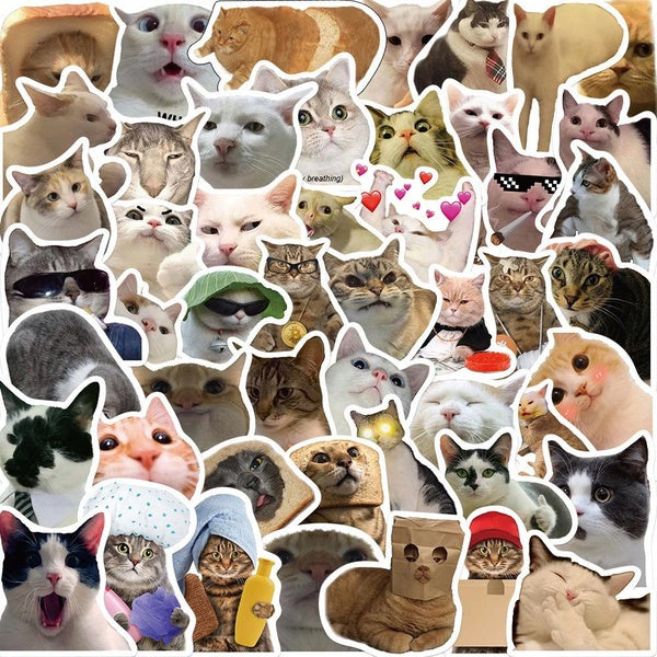 10-52Pcs Internet Celebrity Kitty Meme Sticker Funny Cat Meme Graffiti Stickers for DIY Luggage Laptop Skateboard Motorcycle Bicycle Stickers