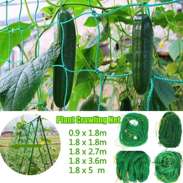 New Garden Plants Climbing Net Plastic & Nylon Net Morning Glory Flower Vine Netting Support Net Grow Net Holder Trellis Netting