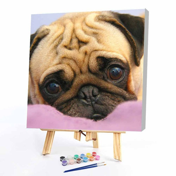 FIYO Diy Dog Paint by Numbers Kits for Adults and Kids Beginner on Canvas Fashion Oil Painting Wall Art for Gift( No Frame )
