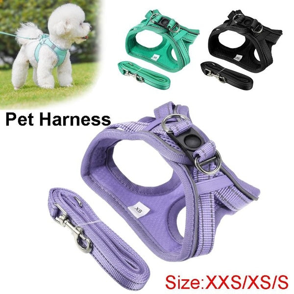 XXS-XS-S Pet Harness for Small Dogs Leashes Set,Soft No Pull Adjustable Breathable Mesh Leash and Harness Vest Belt for Puppy,Small,Medium Dogs and C