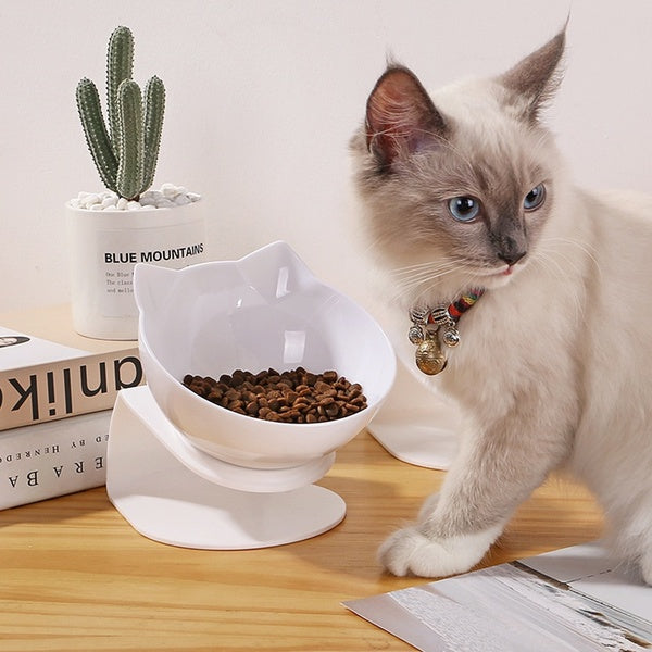 Cat Bowl with Stand,Non-Slip Puppy Bowl Pet Feeding Cat Bowls For Food and Water