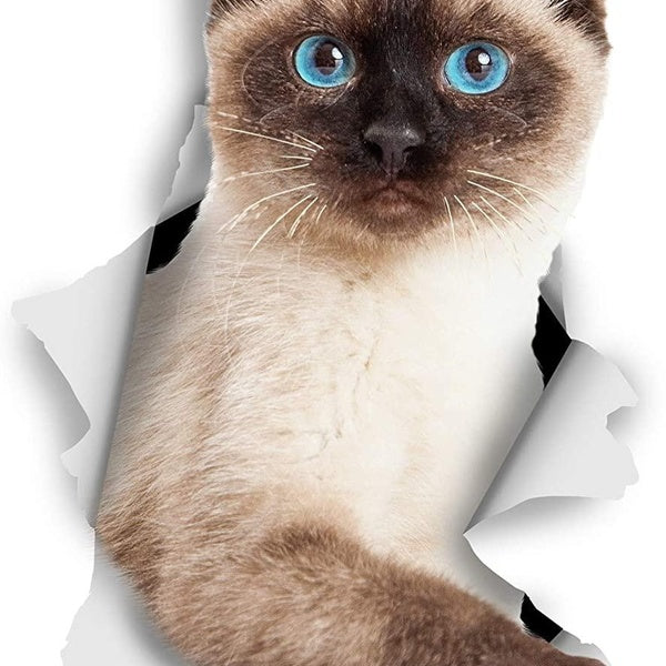 3D Cat Stickers - 2 Pack - Breakout Siamese Cat Stickers for Car Truck Window Bumper Vinyl Decal Siamese Cat Stickers