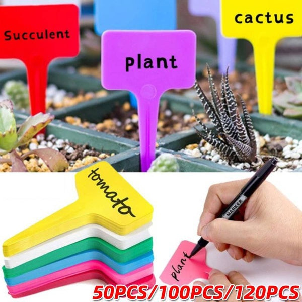 50pcs-100pcs-120pcs T-type Plant Label Markers Waterproof PVC Garden Plants Classification Sorting Sign Tags Plant Nursery Markers Label