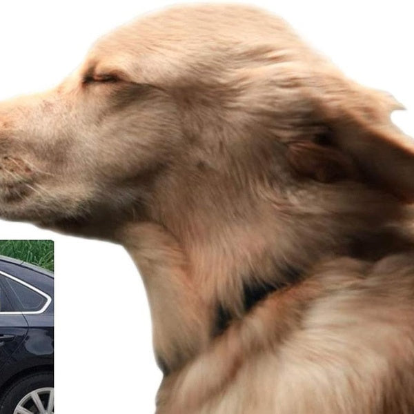 Toogod Riders Golden Retriever Car Sticker Window Decal for Vehicles Dog Window Cling