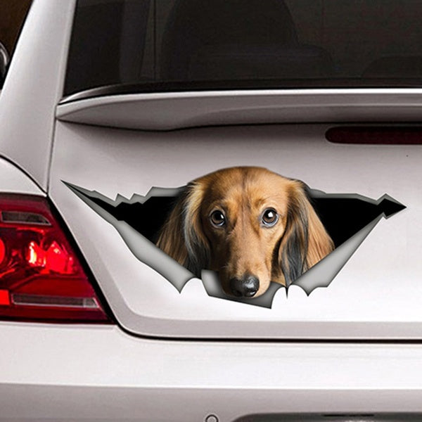 3D Red Long-haired Dachshund Car Sticker Torn Metal Decal Stickers Pet Dog Decals Car Styling