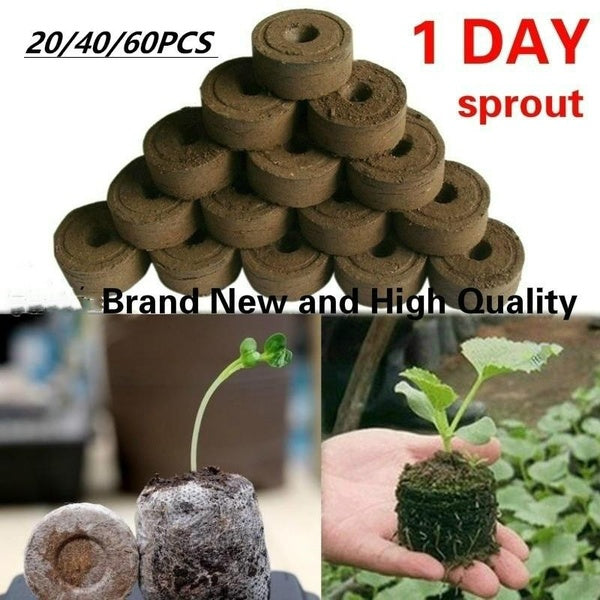 High Quality 20-40-60Pcs 30mm Jiffy Peat Pellets Seed Starting Plugs Pallet Seedling Soil Block