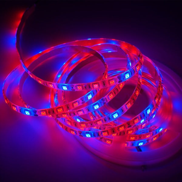 5m-rolls DC12V 5050 Chip 300leds Led Strip for Plants Grow light led phyto lamp for Greenhouse Hydroponic plant 60leds-m Tape Light